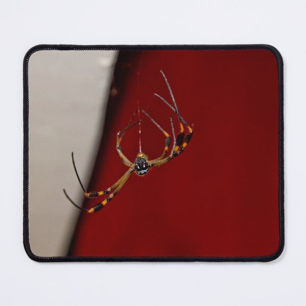 Item preview, Just Hangin' Around designed and sold by alabca.