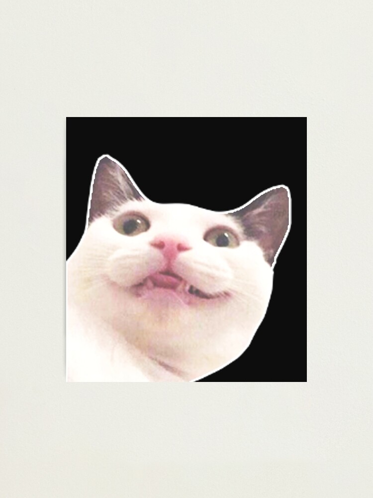 Smiling Beluga Cat Meme Face Photographic Print for Sale by