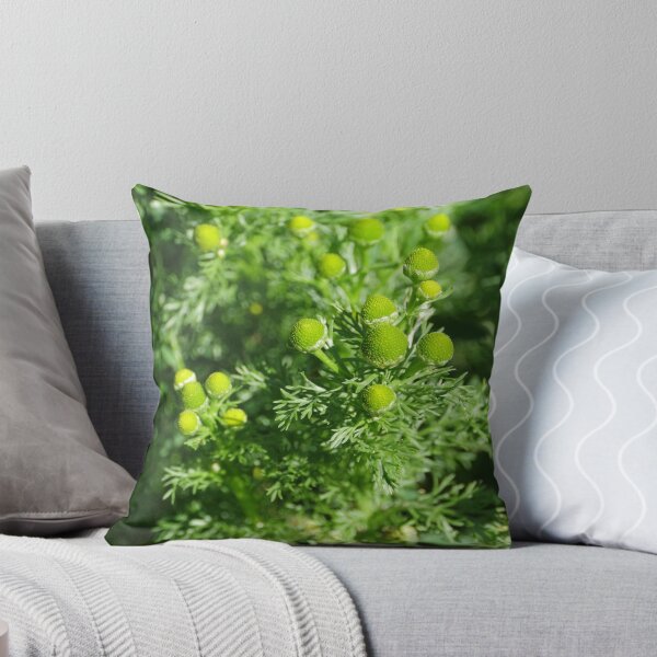 Item preview, green flowers chamomile odorous designed and sold by mrivserg.