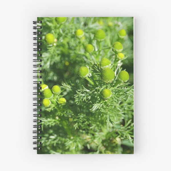 Item preview, green flowers chamomile odorous designed and sold by mrivserg.