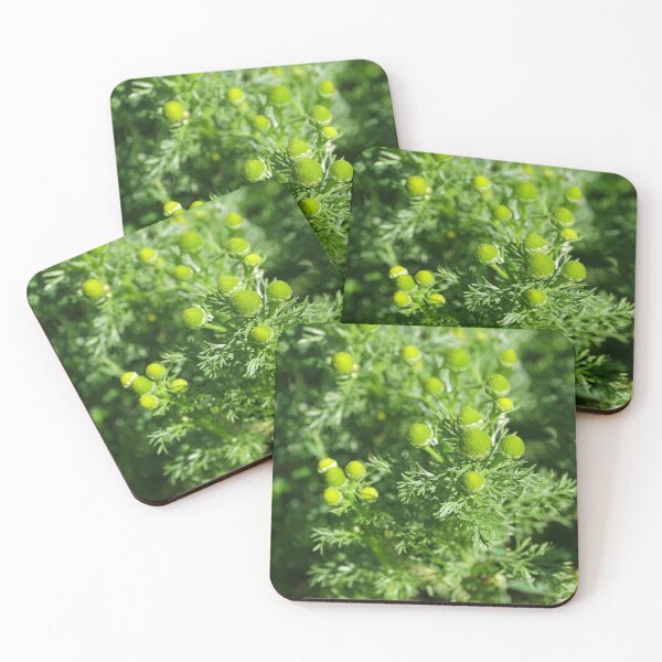 Item preview, green flowers chamomile odorous designed and sold by mrivserg.