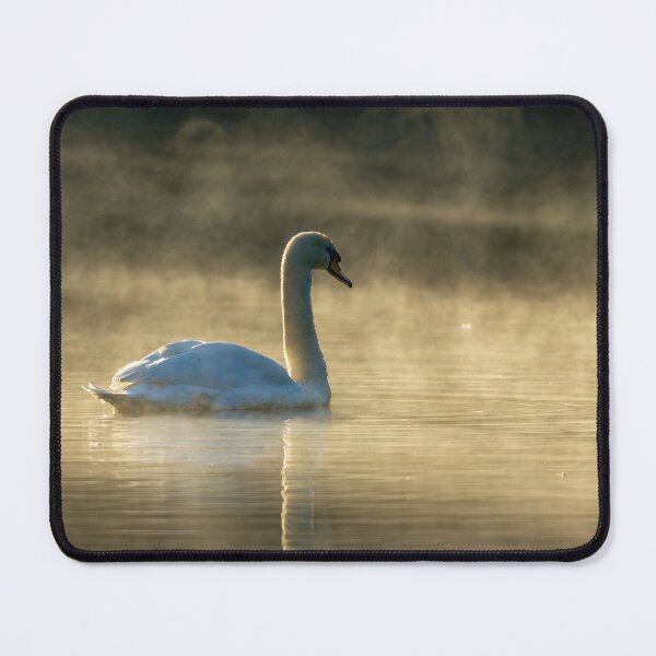 Item preview, Mute Swan in the mist designed and sold by Dalyndigital Photography.