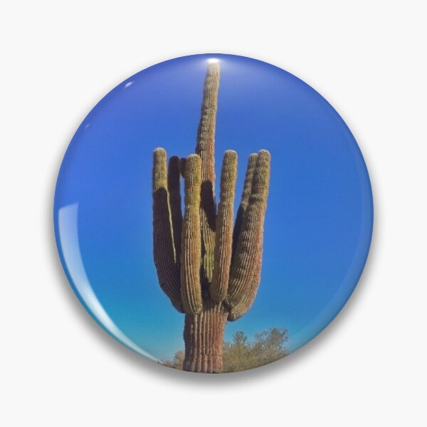 Item preview, Saguaro Cactus In Southwestern Style Frame designed and sold by CapeCodGiftShop.