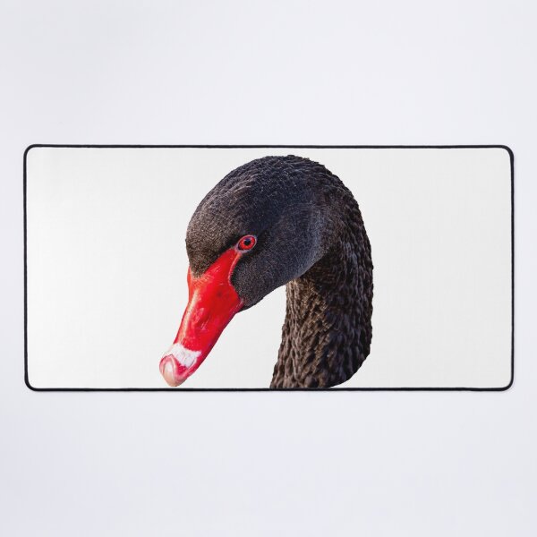 Item preview, Head of Black Swan designed and sold by Dalyndigital Photography.