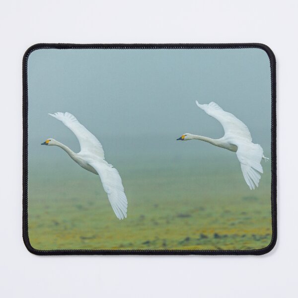 Item preview, Bewick Swans in the Mist designed and sold by Dalyndigital Photography.