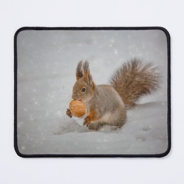 Item preview, Squirrel winter breakfast designed and sold by Svetlana Korneliuk.