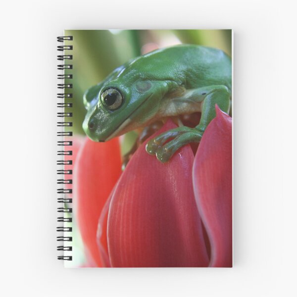 Item preview, Green tree frog on red ginger flower designed and sold by AnnaKT.
