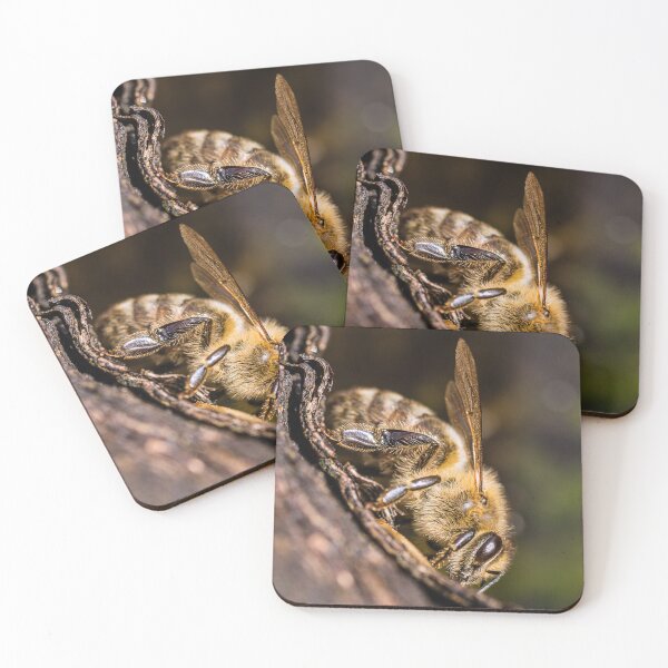 Item preview, Honey bee on a log designed and sold by BBPGallery.