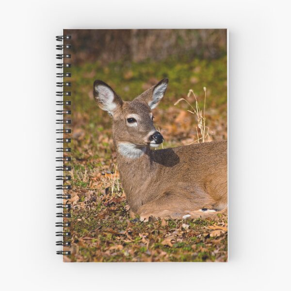 Item preview, White-tailed deer designed and sold by Brad Chambers.