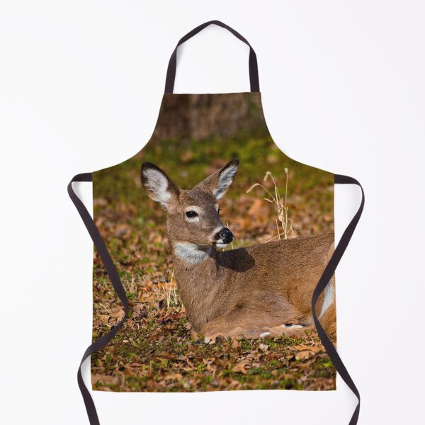 Item preview, White-tailed deer designed and sold by Brad Chambers.
