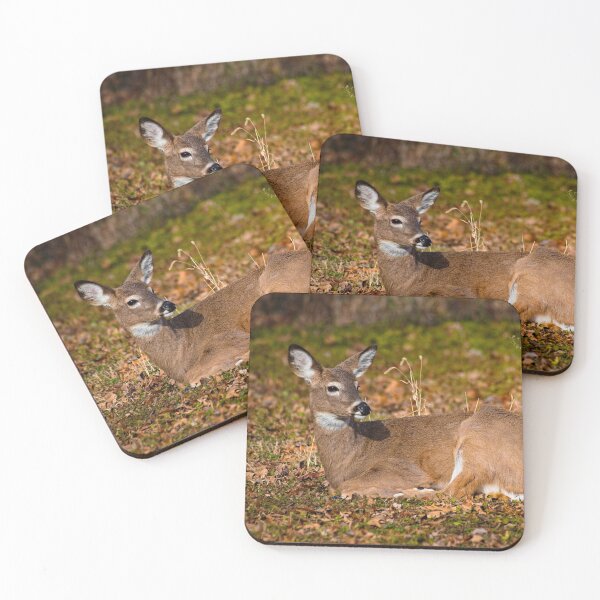 Item preview, White-tailed deer designed and sold by Brad Chambers.