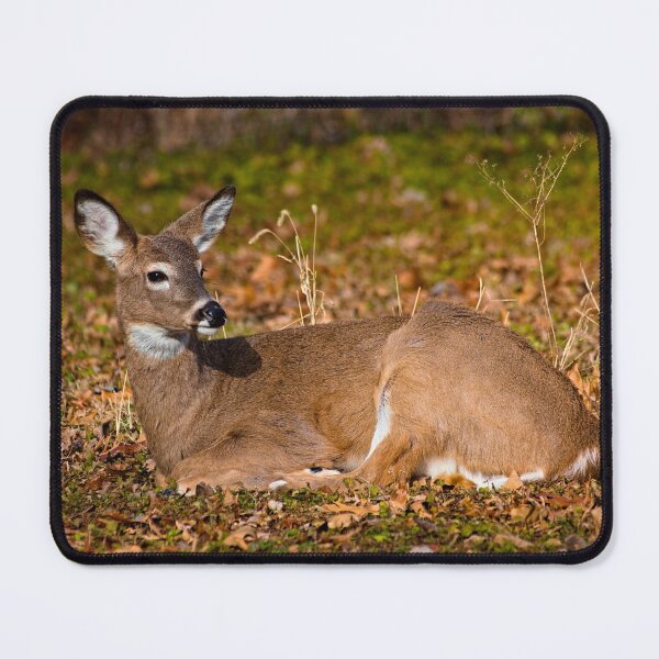 Item preview, White-tailed deer designed and sold by Brad Chambers.