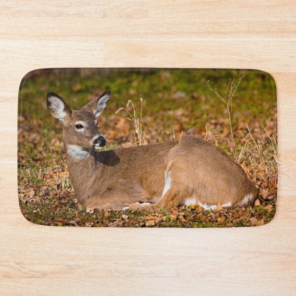 Item preview, White-tailed deer designed and sold by Brad Chambers.