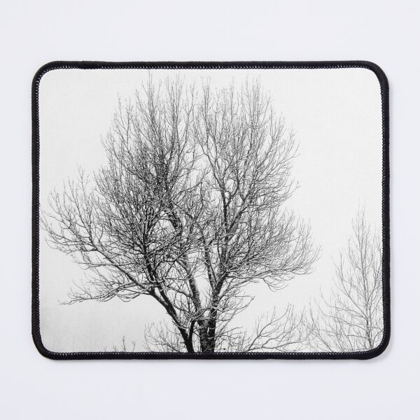 Item preview, 12.12.2021: Trees in the Winter's Fog designed and sold by Petri Volanen.