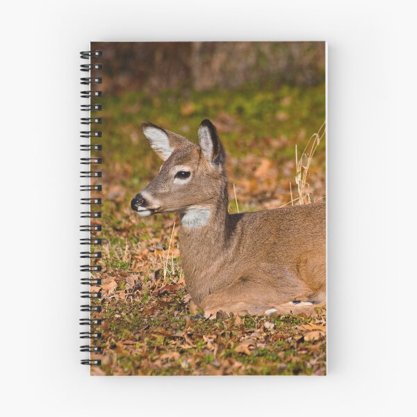 Item preview, White-tailed deer designed and sold by Brad Chambers.