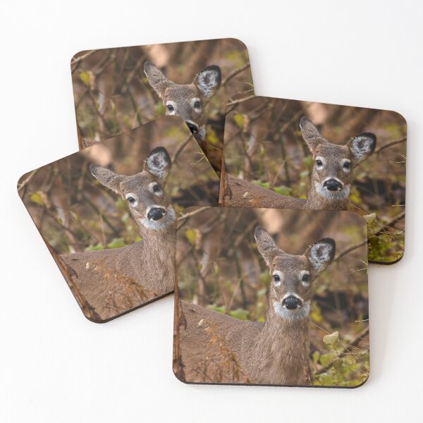 Item preview, Whitetailed deer designed and sold by Brad Chambers.