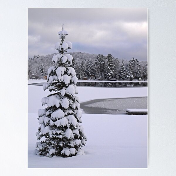 Item preview, Perfect Tree designed and sold by Dawne Olson.