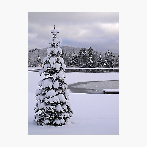 Item preview, Perfect Tree designed and sold by Dawne Olson.