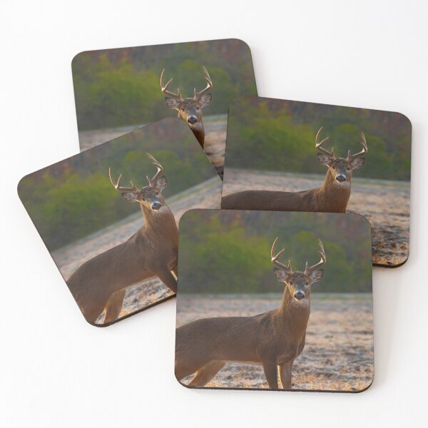 Item preview, White-tailed deer buck designed and sold by Brad Chambers.