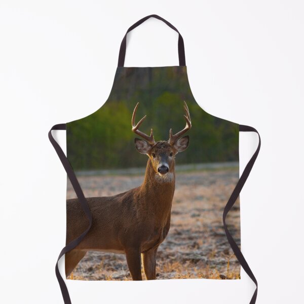 Item preview, White-tailed deer buck designed and sold by Brad Chambers.