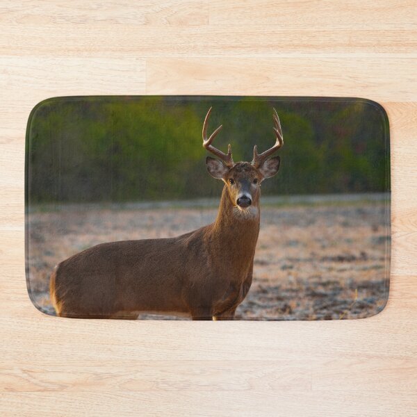 Item preview, White-tailed deer buck designed and sold by Brad Chambers.