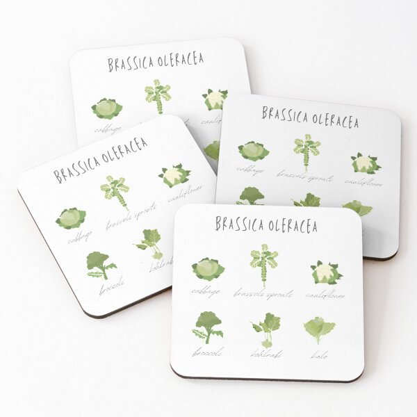Item preview, Wild mustard plant (Brassica oleracea) designed and sold by blueyblue.