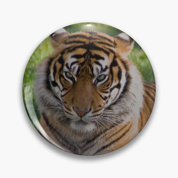 Item preview, Tiger reclama el lugar perfecto designed and sold by StyleEdit.