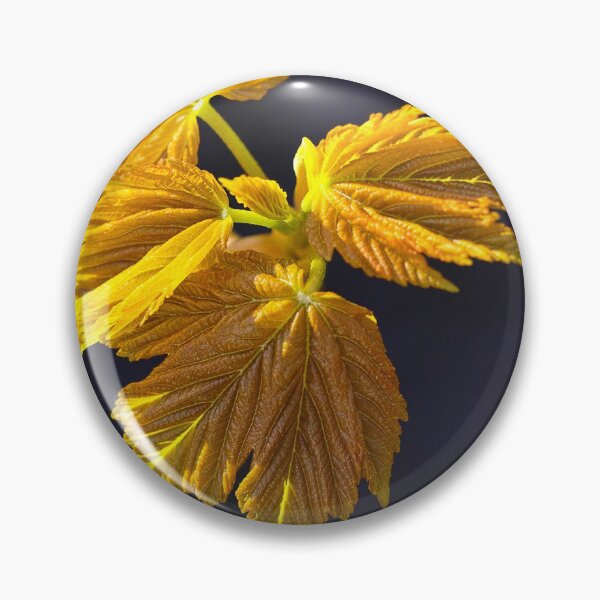 Item preview, Sycamore Blossom 2 designed and sold by AntonyMitchell.