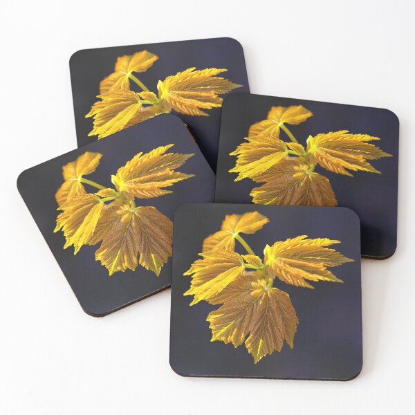 Item preview, Sycamore Blossom 2 designed and sold by AntonyMitchell.