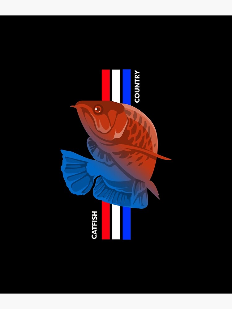 "Catfish Country" Poster for Sale by 504DesignStudio Redbubble