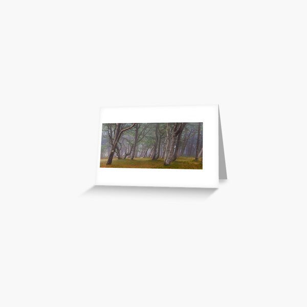 Item preview, Formby Woodland designed and sold by PaulBullen.