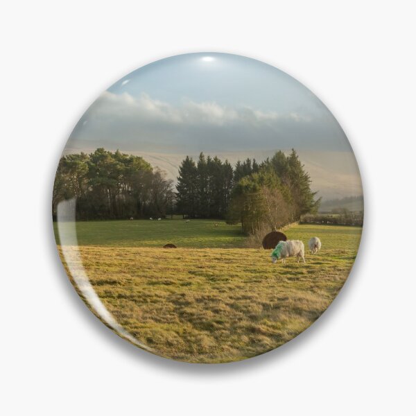 Item preview, Sheep on the Brecon Beacons designed and sold by Leighton Collins.