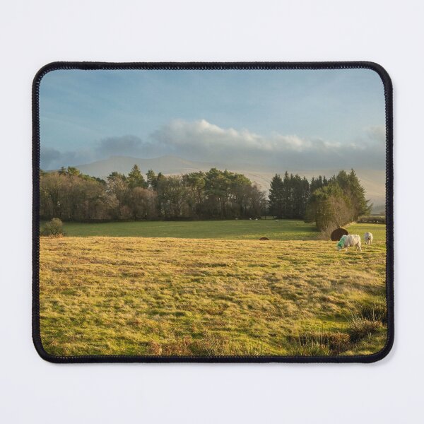 Item preview, Sheep on the Brecon Beacons designed and sold by Leighton Collins.