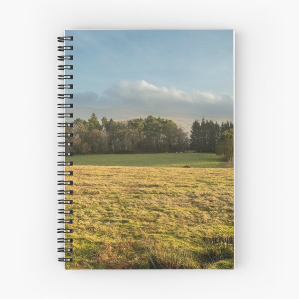 Item preview, Sheep on the Brecon Beacons designed and sold by Leighton Collins.