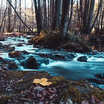 Artwork thumbnail, nature by Ricky47Design