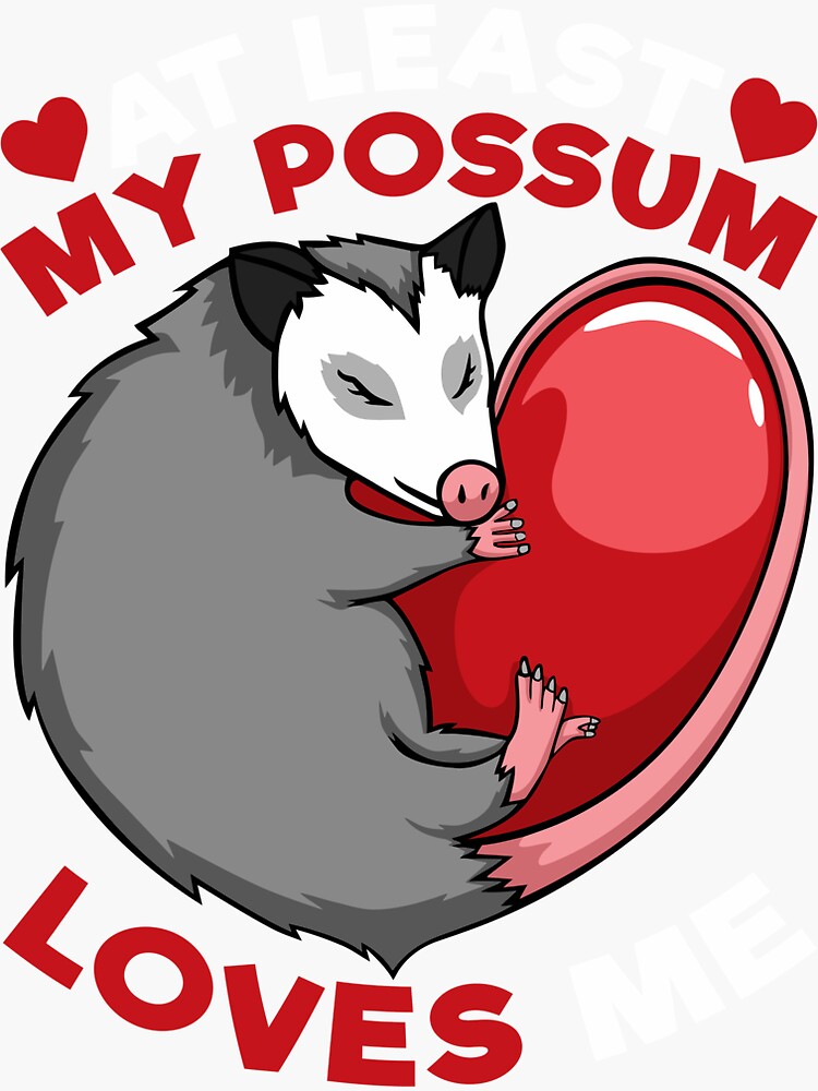 Possum Love Red Valentine Heart Opossum Lovers T Possum Sticker For Sale By Grete6dalq 4904