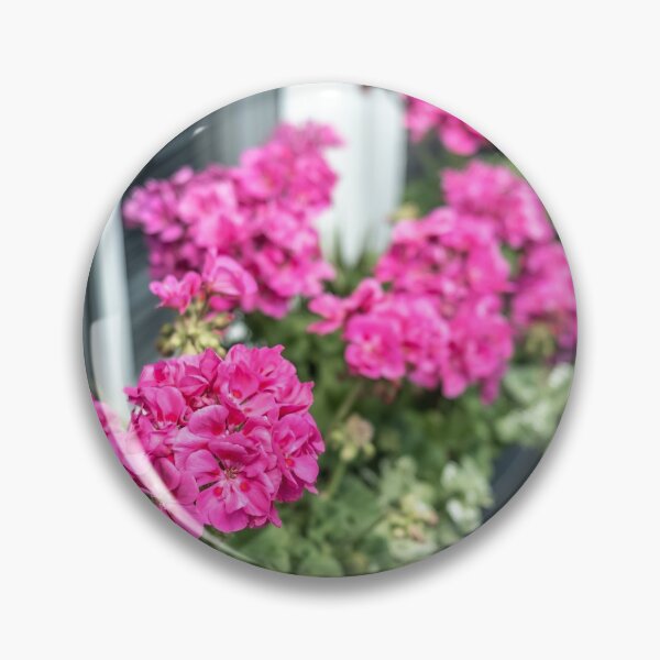 Item preview, Pink geraniums designed and sold by yackers1.