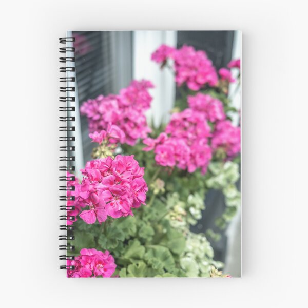 Item preview, Pink geraniums designed and sold by yackers1.