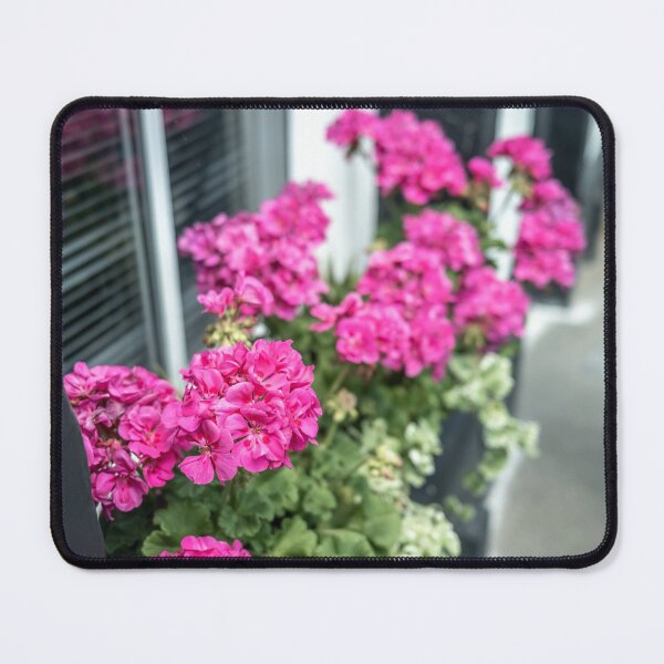 Item preview, Pink geraniums designed and sold by yackers1.