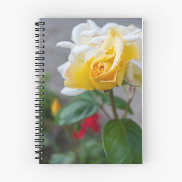 Item preview, Yellow Rose designed and sold by yackers1.