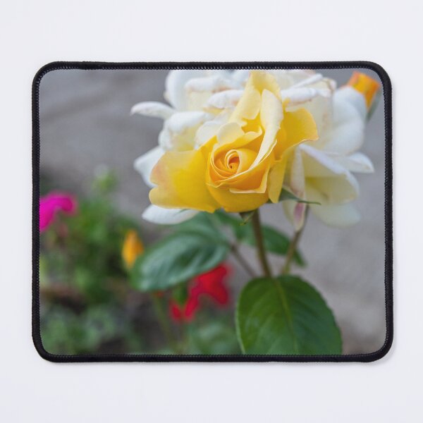 Item preview, Yellow Rose designed and sold by yackers1.