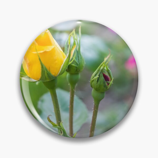 Item preview, Yellow Rose designed and sold by yackers1.