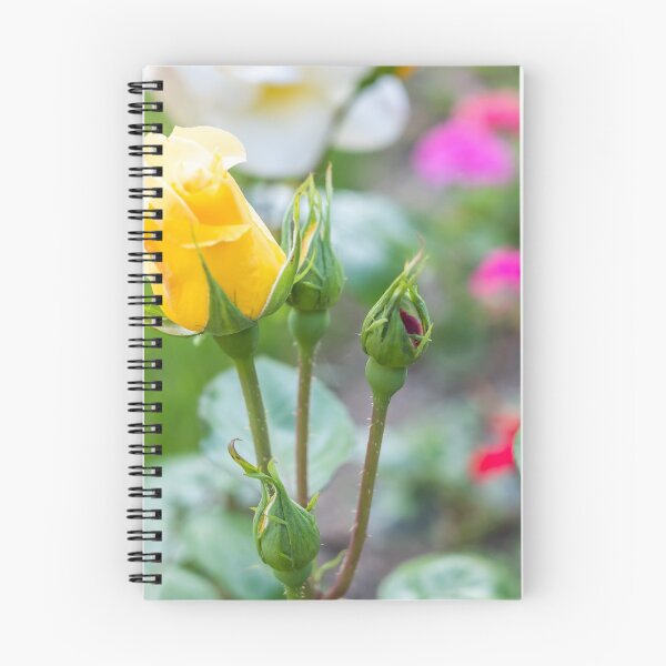Item preview, Yellow Rose designed and sold by yackers1.