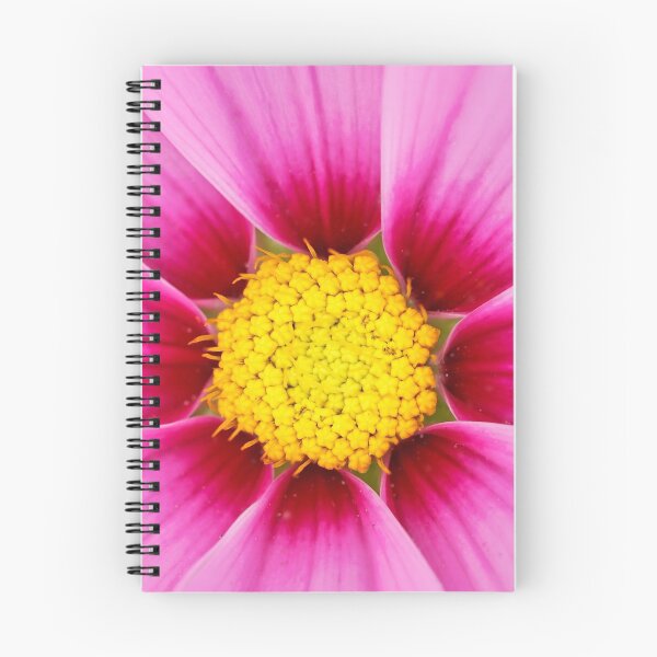 Item preview, Closeup of pink flower with yellow stamens designed and sold by Lukasz Szczepanski.