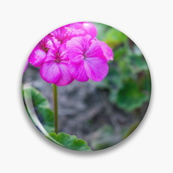 Item preview, Pink geranium designed and sold by yackers1.