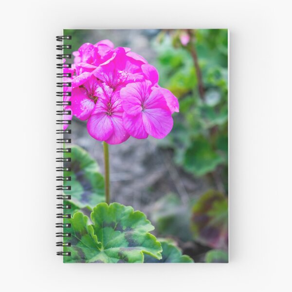 Item preview, Pink geranium designed and sold by yackers1.