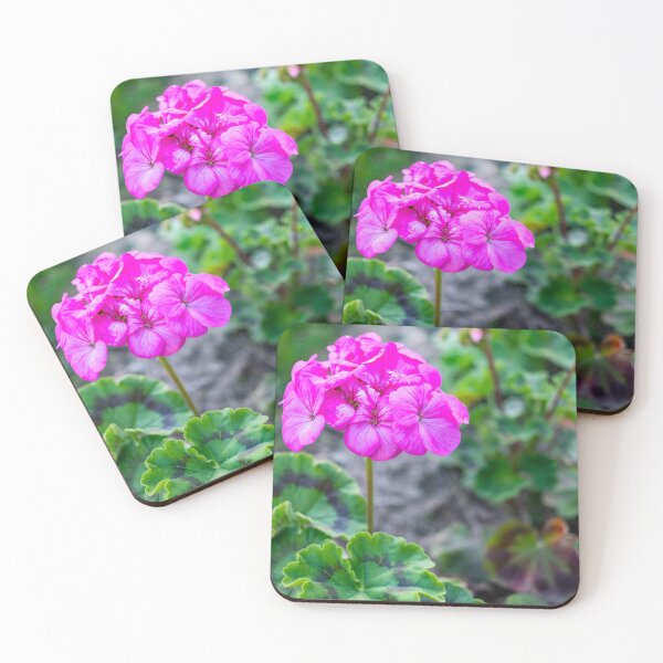 Item preview, Pink geranium designed and sold by yackers1.