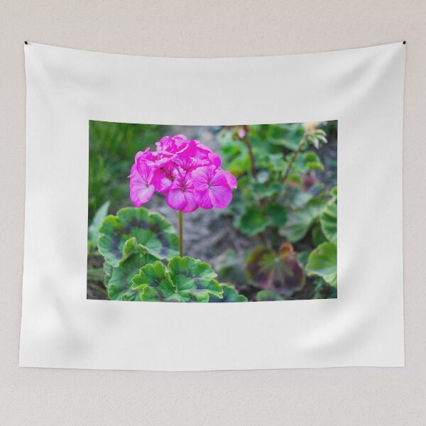 Item preview, Pink geranium designed and sold by yackers1.
