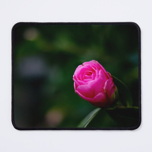 Item preview, Pink Camellia Japonica designed and sold by yackers1.