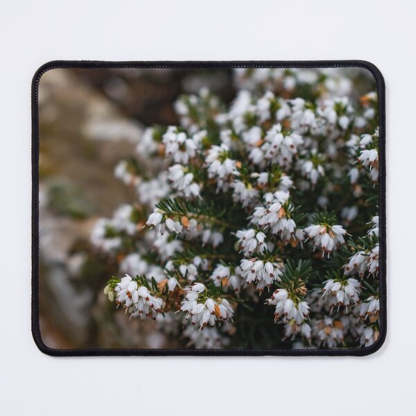 Item preview, White heather designed and sold by yackers1.